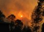 Waldbrandgefahr: Keine Zigaretten und kein Feuer im Wald!