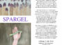 „Spargel“ – Ausstellung in der Galerie Alte Apotheke – Vernissage am 15. Mai