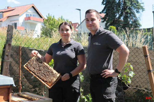 Die Imker Jennifer Menrath und Marcel Widmann