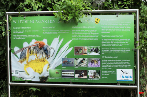 Wildbienengarten Schatthausen