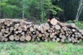 ForstBW- Forstbezirk Odenwald informiert zum Thema Brennholz. Wird das Brennholz das neue Klopapier?