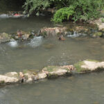 Leimbach in Wiesloch