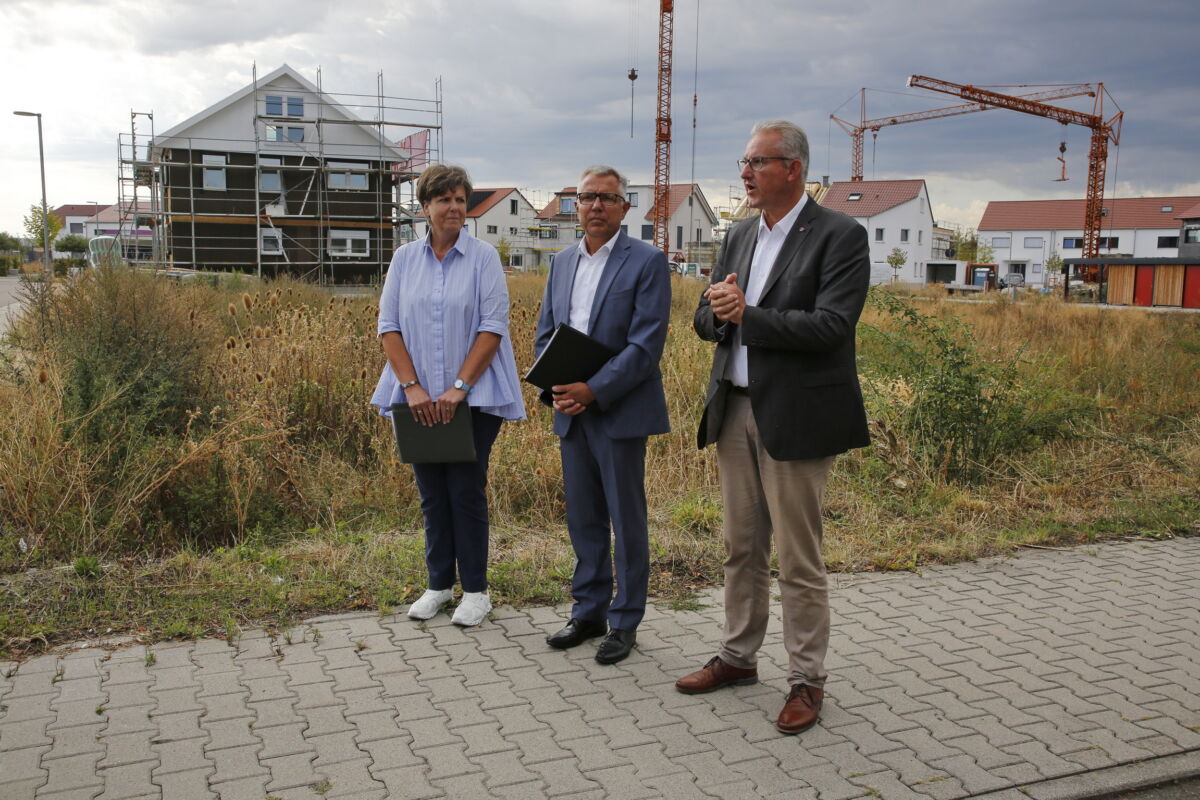 Haubenlerchen in Walldorf: Umstrittene Maßnahme sorgt für Erfolg