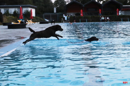 Wasser ist mein Element... Wasser ist mein Element...