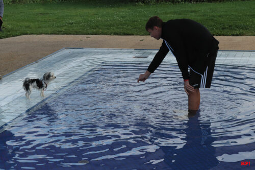 Ich mag zwar, aber ich traue mich nicht... Ich mag zwar, aber ich traue mich nicht...