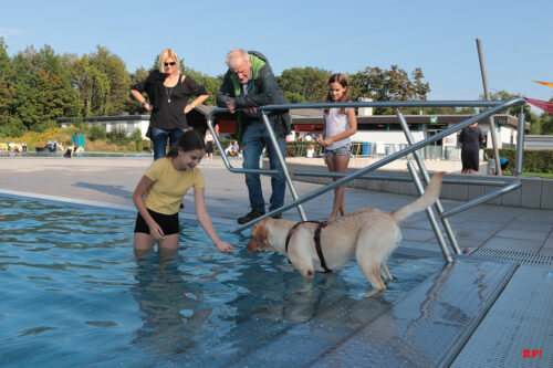 Kinder und Haustiere, einfach schön Kinder und Haustiere, einfach schön