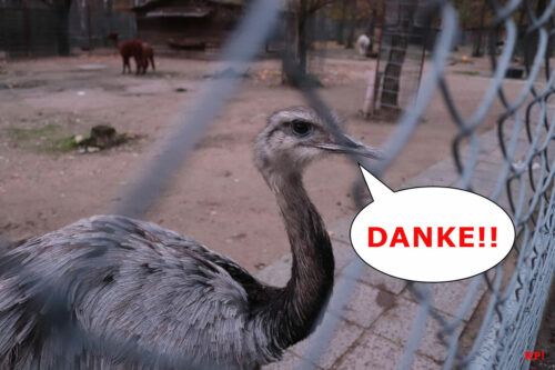 Tierpark in Walldorf 2022