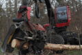 Harvester im Dannhecker Wald