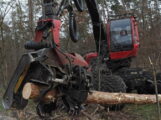 Harvester im Dannhecker Wald