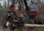 Harvester im Dannhecker Wald