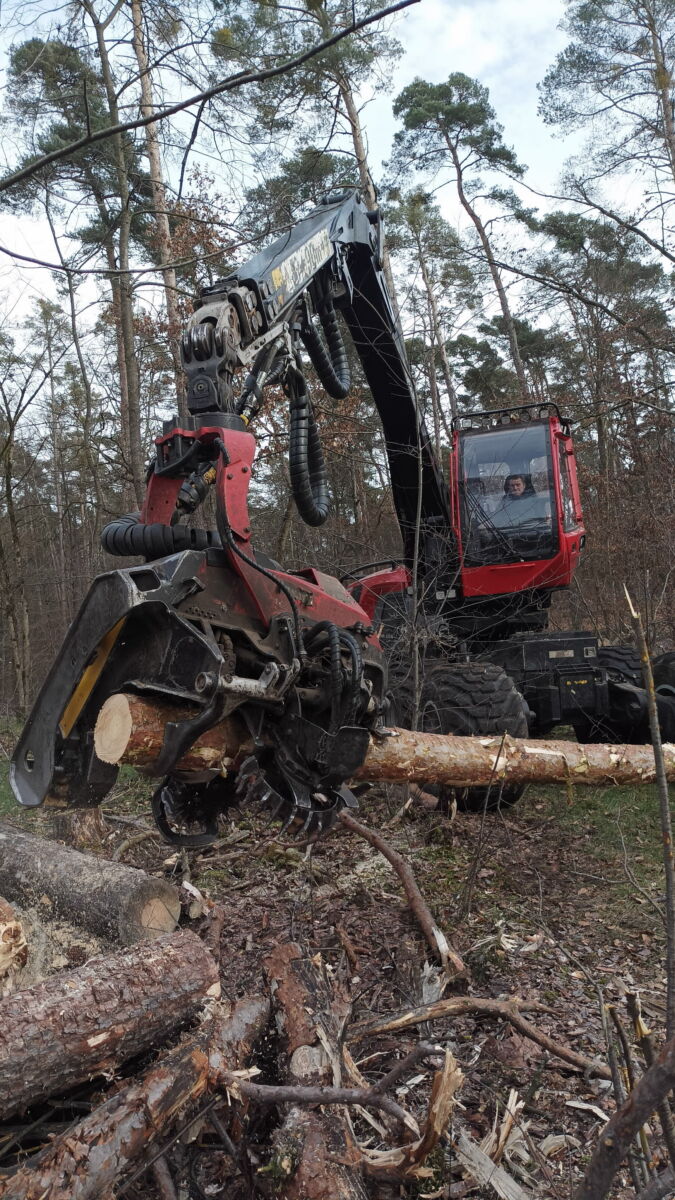 Harvester im Dannhecker Wald