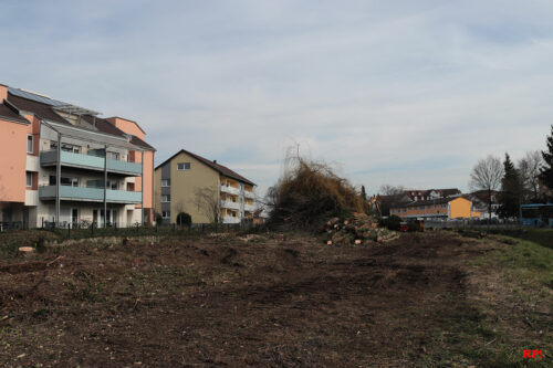 Ein Schock ohne Gleichen