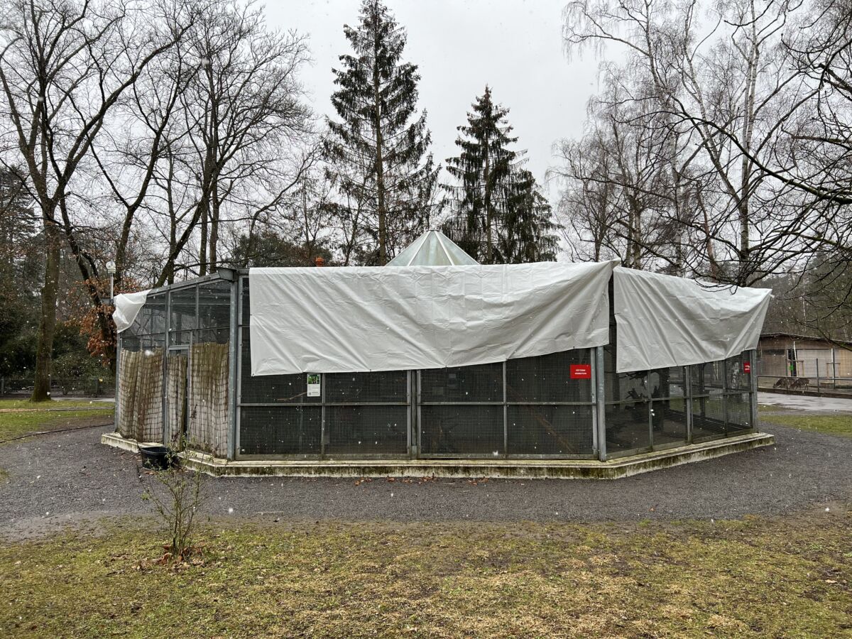 Tierpark wegen Vogelgrippe geschlossen