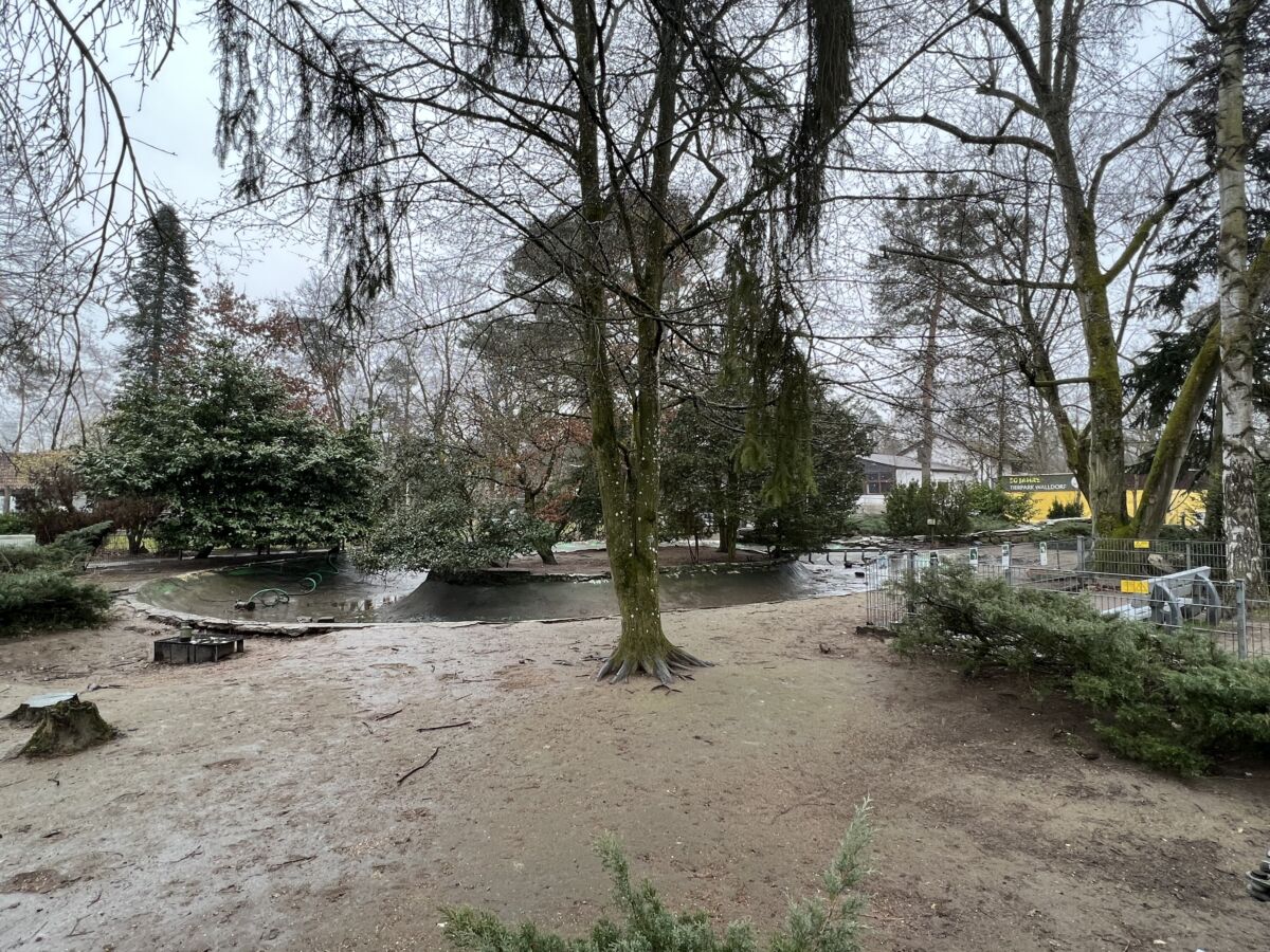 Vogelgrippe: Zwei infizierte Laufenten im Tierpark Walldorf eingeschläfert