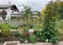 Das StadtverschönerInnen Projekt startet in die nächste Runde