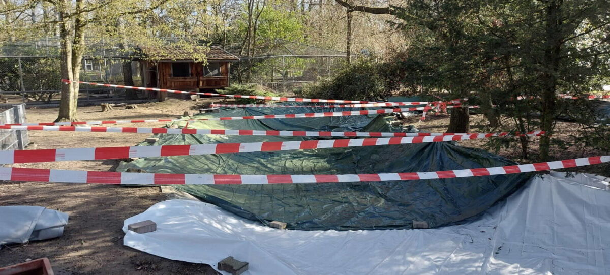 Tierpark Walldorf: Hoffnung auf baldige Öffnung