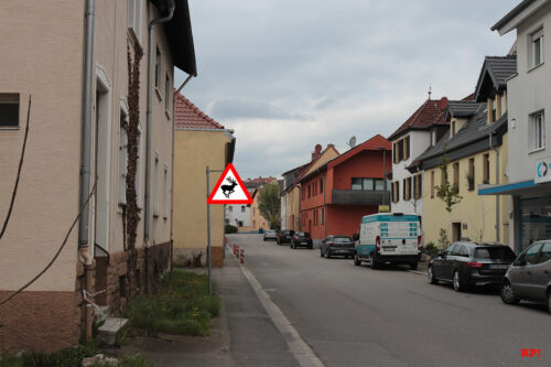 Fotomontage Symbolbild Wildwechseln in Altwiesloch