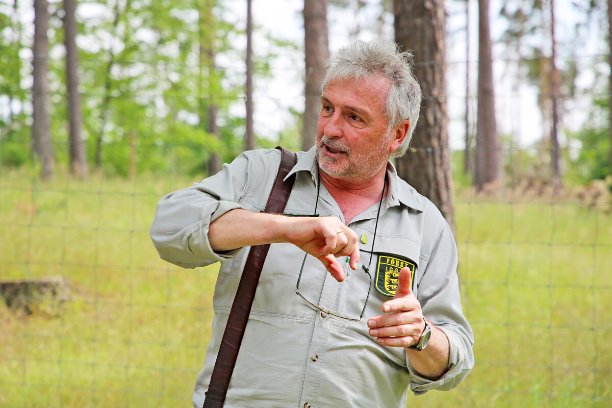 Unterwegs mit dem Waldflüsterer im Reilinger Eck