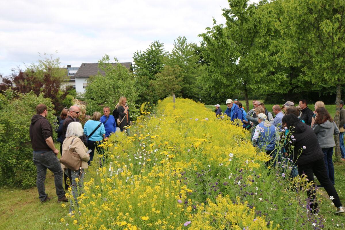 Natur nah dran 2.0“ in Wiesloch