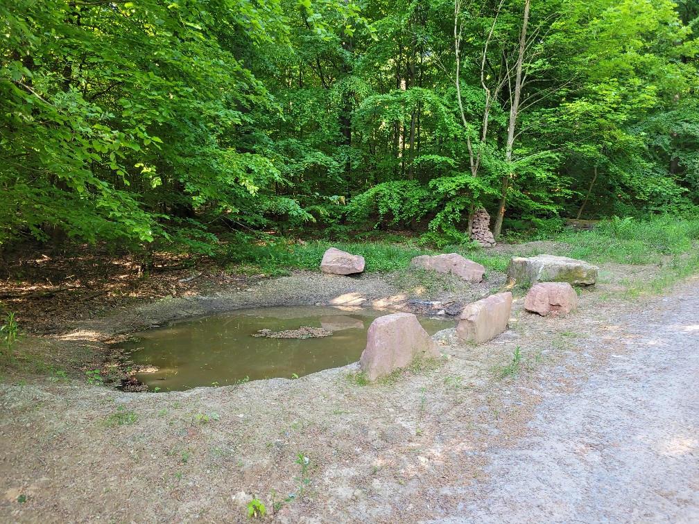 Biodiversität beim Landratsamt Rhein-Neckar-Kreis