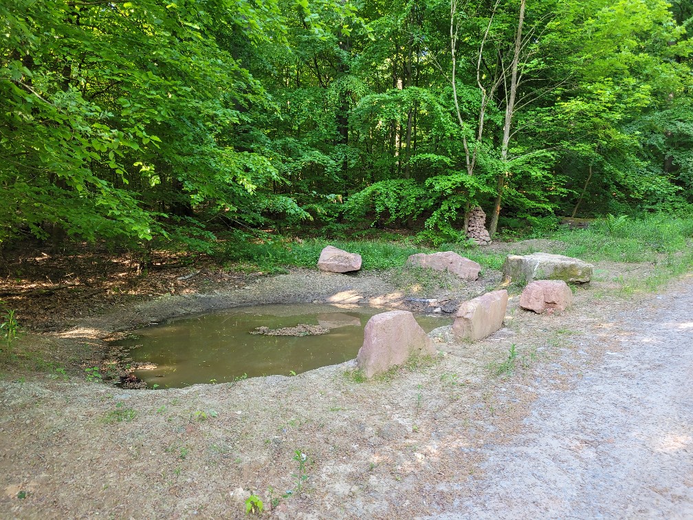 Biodiversität beim Landratsamt Rhein-Neckar-Kreis