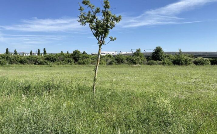 Stadt Walldorf bittet um Unterstützung