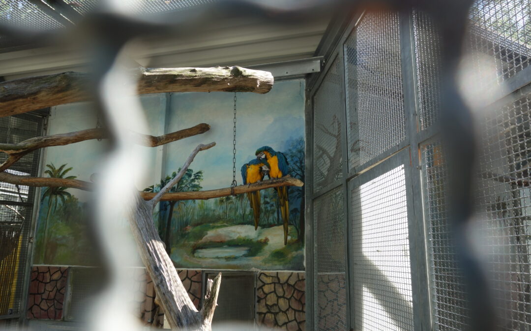 Schüler spenden an Tierpark