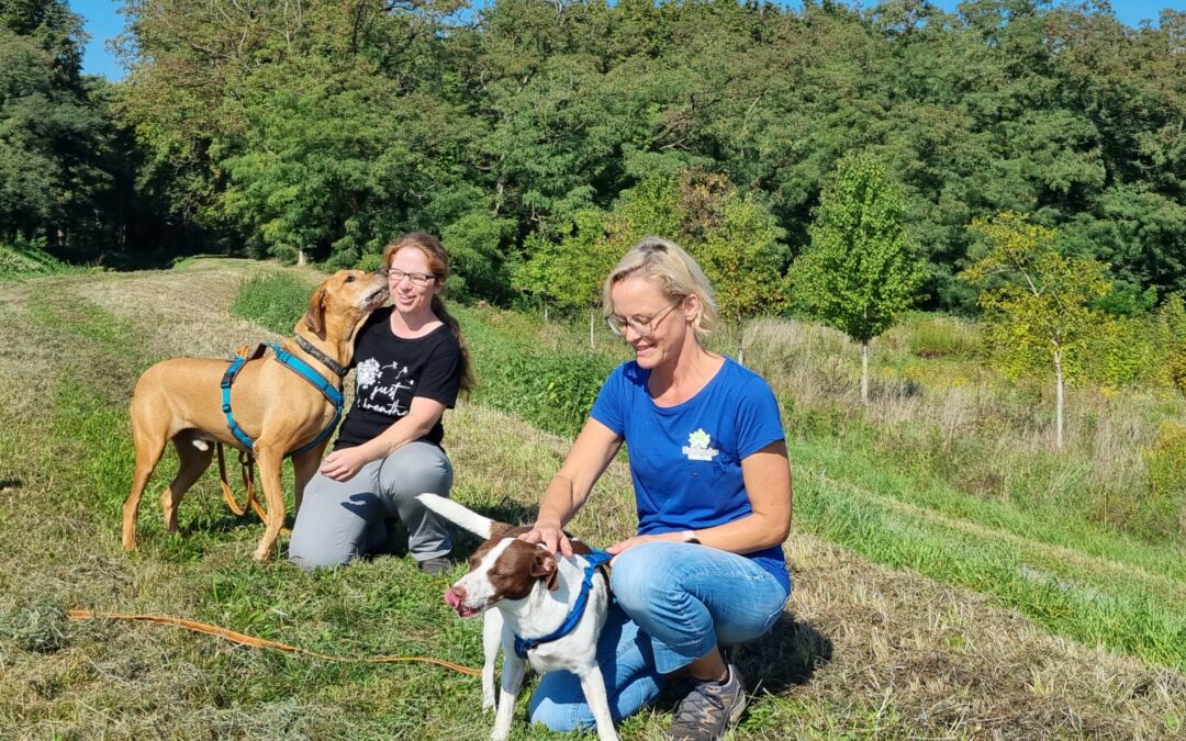 Zeit für etwas Neues