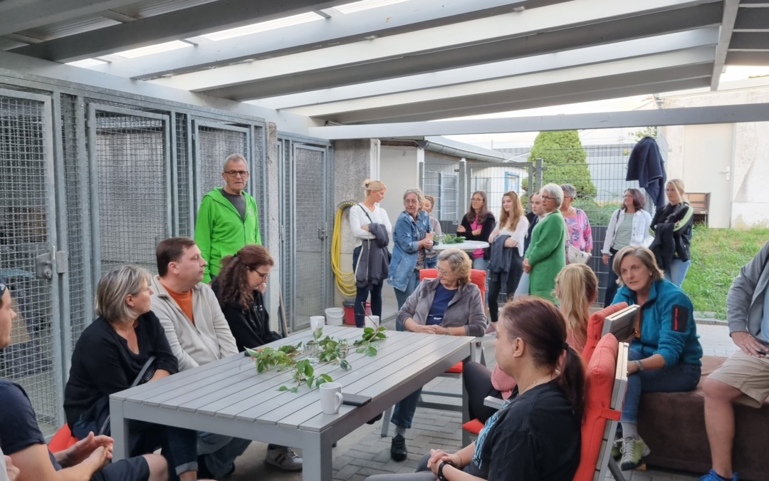 Helferfest im Tom-Tatze-Tierheim