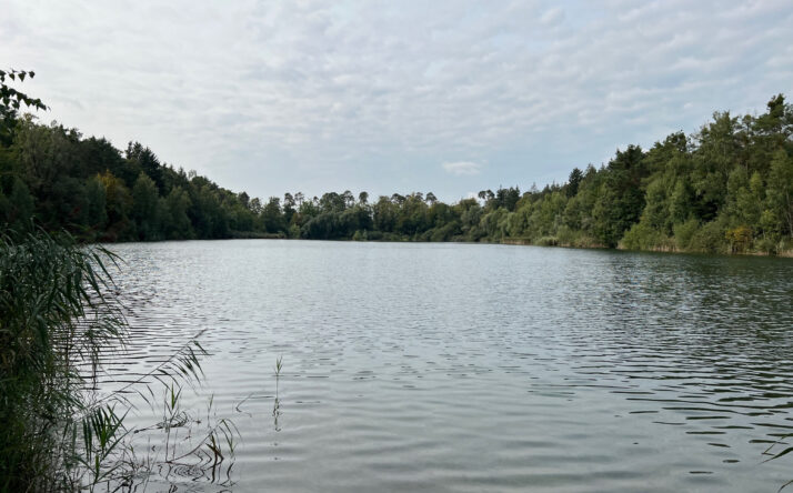 Hinweis auf Rechtsverordnung am Hochholzer See