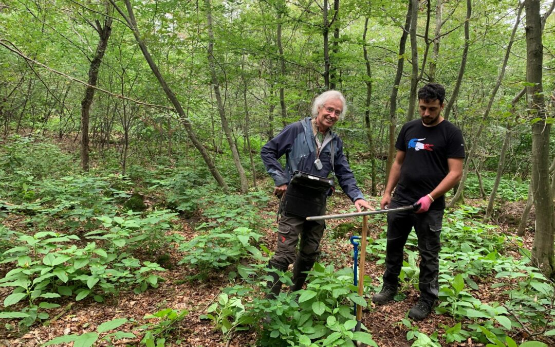 Kreisforstamt: Forstliche Standortskartierung erstellt Grundlage für naturnahen Waldbau