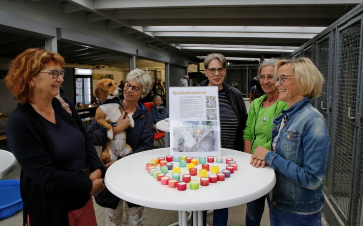 Tag der Regenbogenbrücke im Tom-Tatze-Tierheim