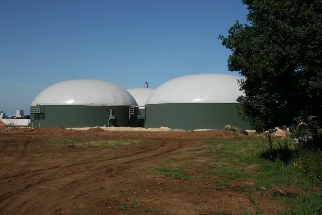 Biogas-Fermenter-Heizung: eine echte Option zur Nachhaltigkeit