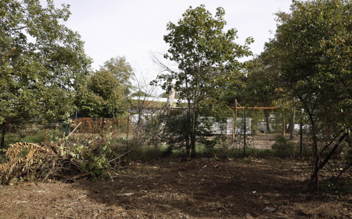 Vorbereitende Arbeiten für die Erweiterung der Waldschule Walldorf