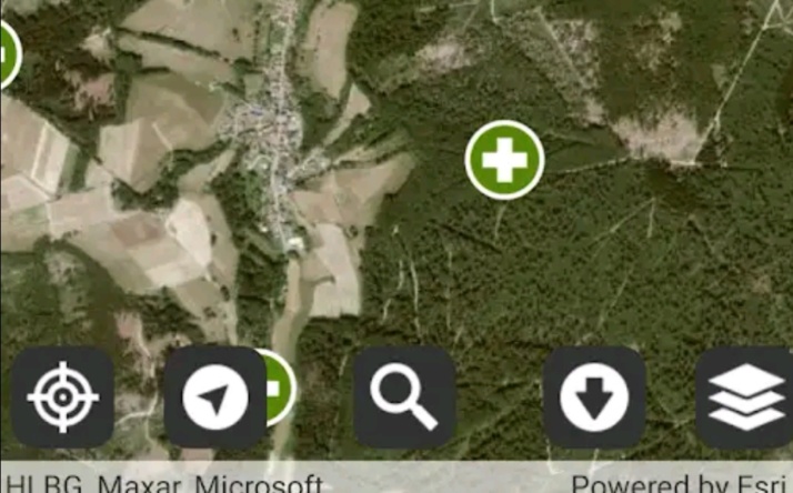 Notfall im Wald: Eine Handy-App soll schnelle Hilfe ermöglichen