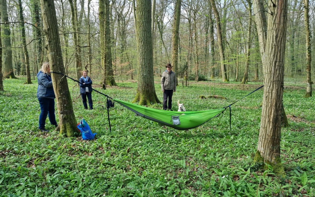 Waldbaden am Tag des Waldes