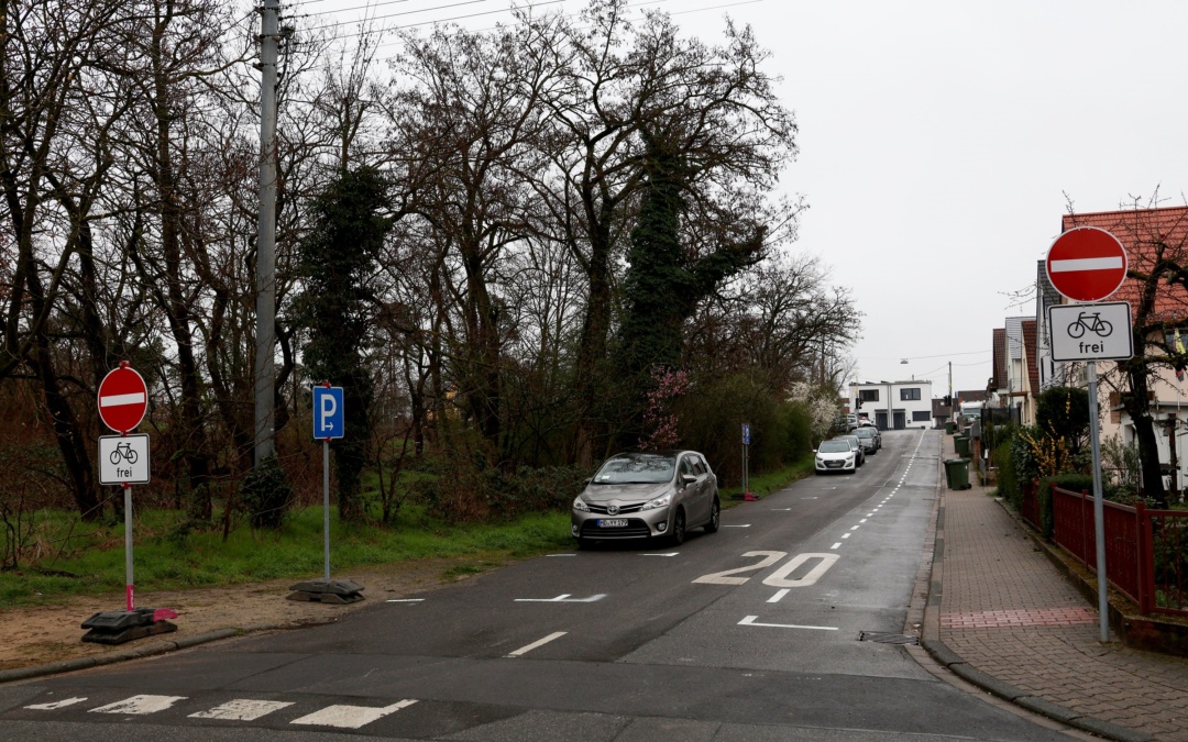 Bauarbeiten an der Waldschule Walldorf haben begonnen