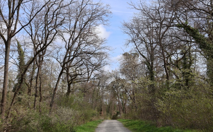 Vorsicht beim Waldbesuch