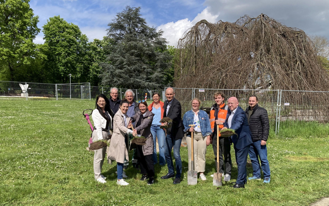 Umgestaltung Stadtwingertanlage startet