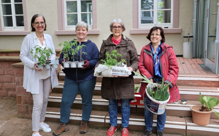Pflanzentauschbörse bot Gartenfreunden erstmals in der Stadtbücherei eine Plattform
