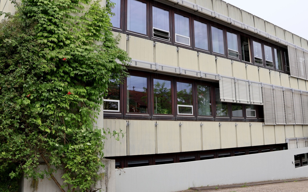 Stadt Walldorf will Fassadenbegrünung bezuschussen