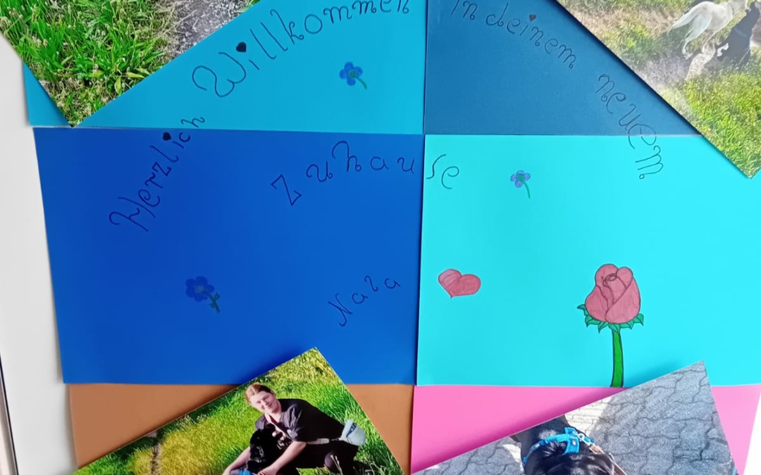 Wundervolles Happy End: Nala findet liebevolles Zuhause