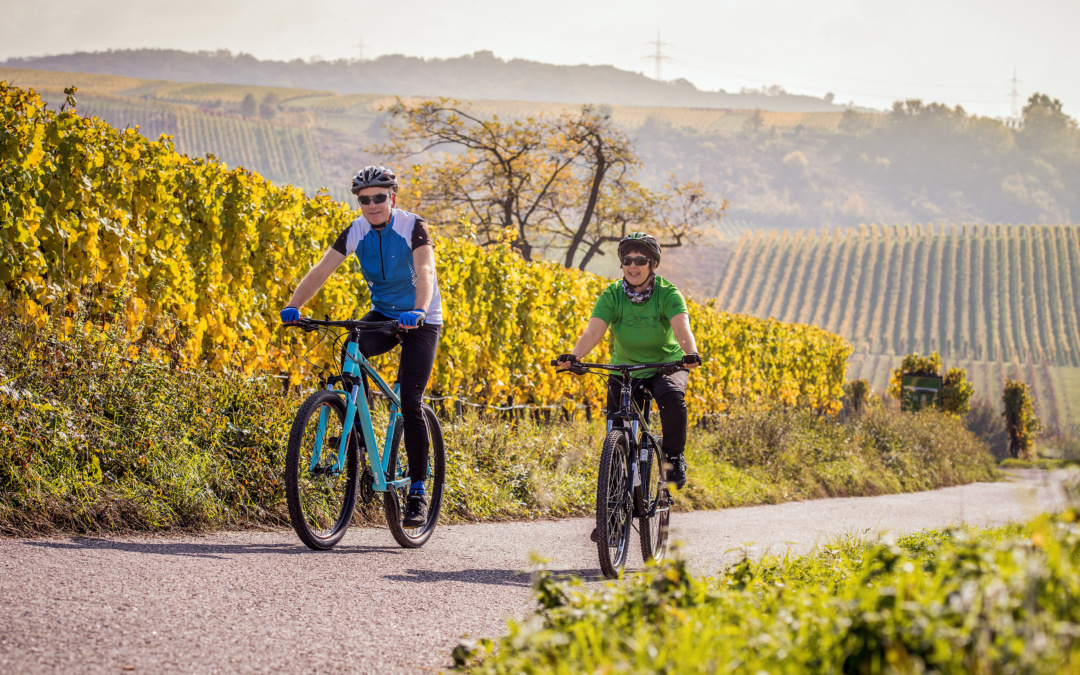 RadGuides Rhein-Neckar: Letzte Touren führen durch den Kraichgau