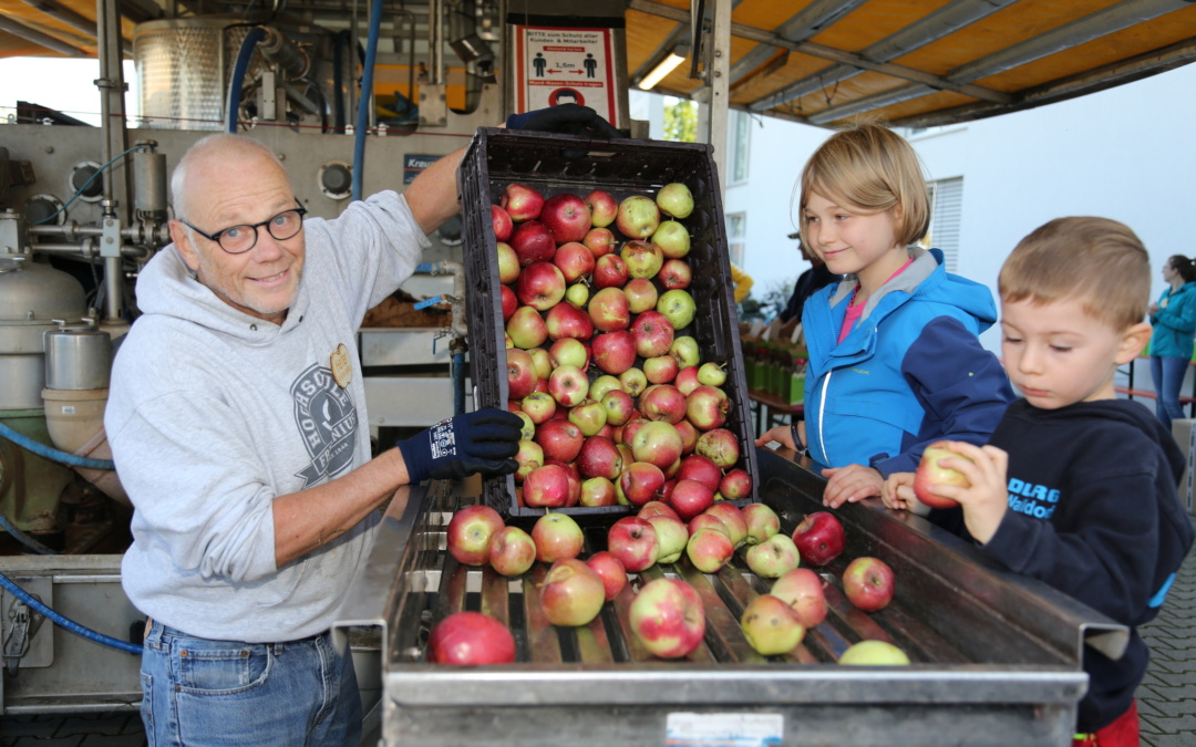 Städtische Äpfel ernten und Apfelsaft bekommen