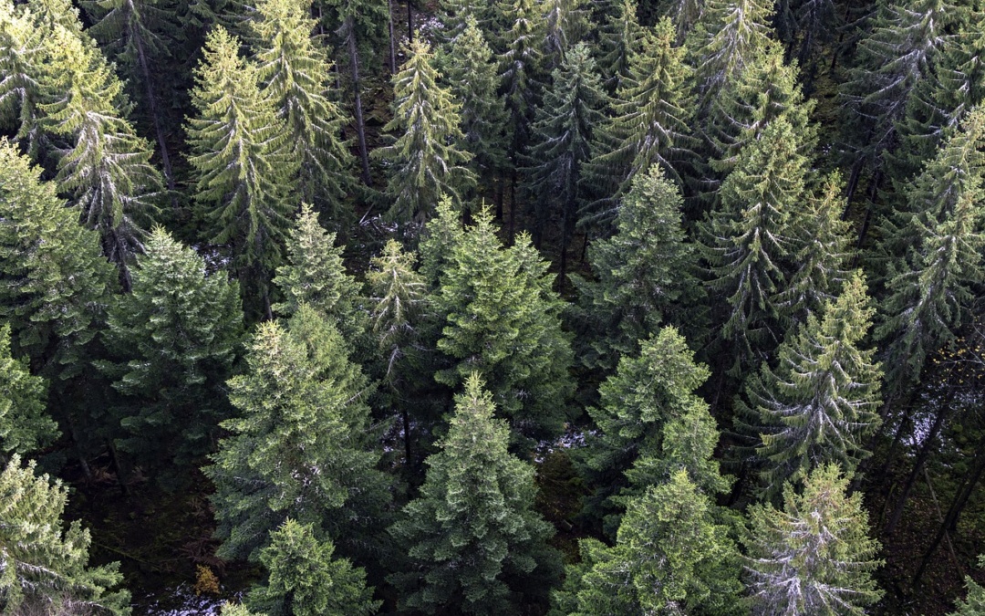Neue Wasserstofferhebung beginnt im Frühjahr 2025
