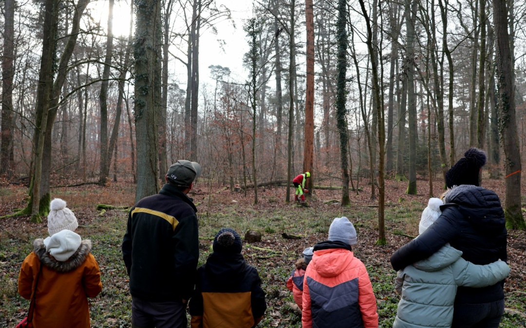 Winteraktion mit dem Forst führt die Sambuga-Schüler in den Hochholzer Wald