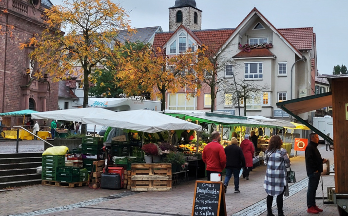 Wochenmarkt Wiesloch: Vergabe der Standplätze