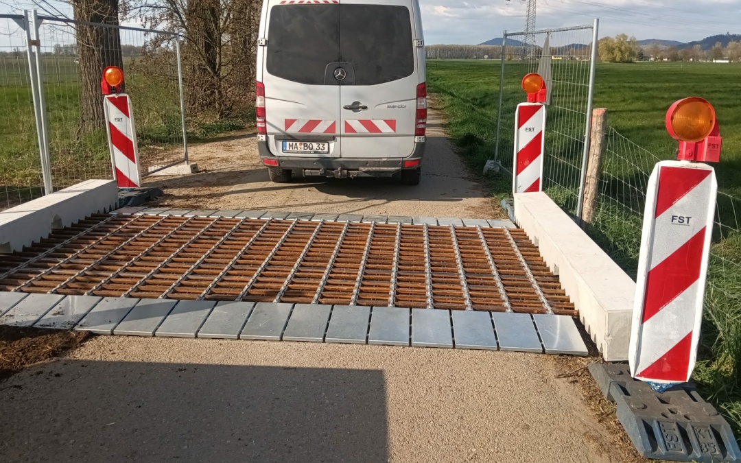 Die Afrikanische Schweinepest breitet sich weiterhin in der Region aus