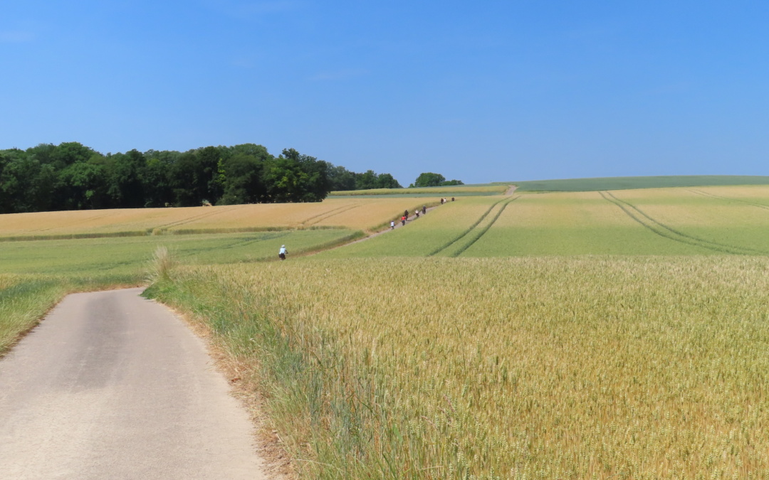 ADFC-Frauenradtour über den Eichelberg ins Katzbachtal