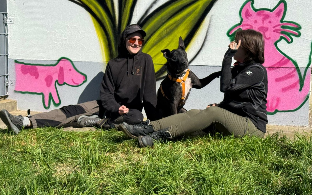 Wenn das Schicksal doppelt zuschlägt: Ältere Tiere im Tierheim Walldorf suchen ein Zuhause